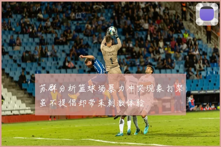 苏群分析篮球场暴力冲突现象打架虽不提倡却带来刺激体验